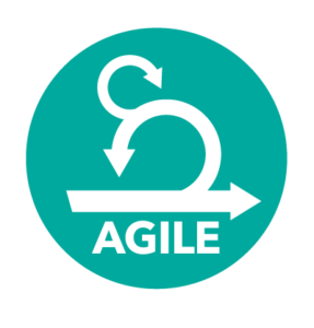 Agile Project Management (E)